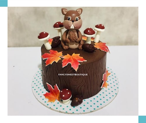 مطابق عکس 